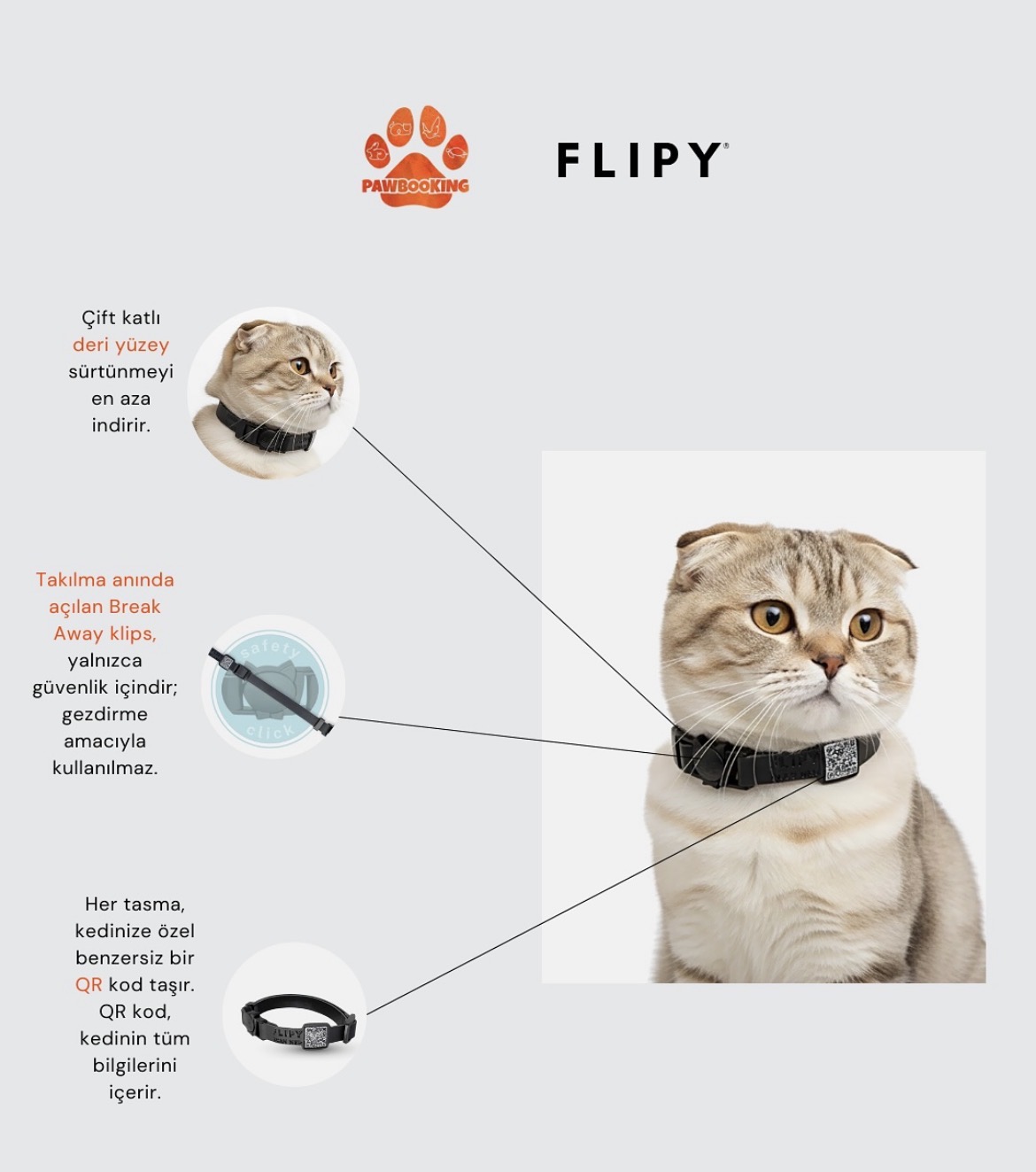 FLİPY QR KODLU KEDİ BOYUN TASMASI*5